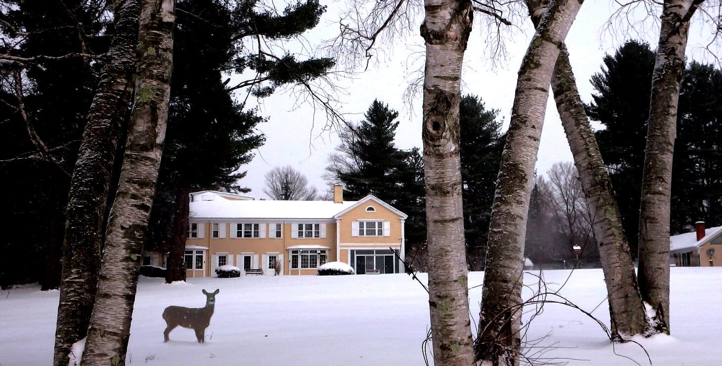 View of the Inn during the winter surrounded by white snow, trees, with a deer looking on