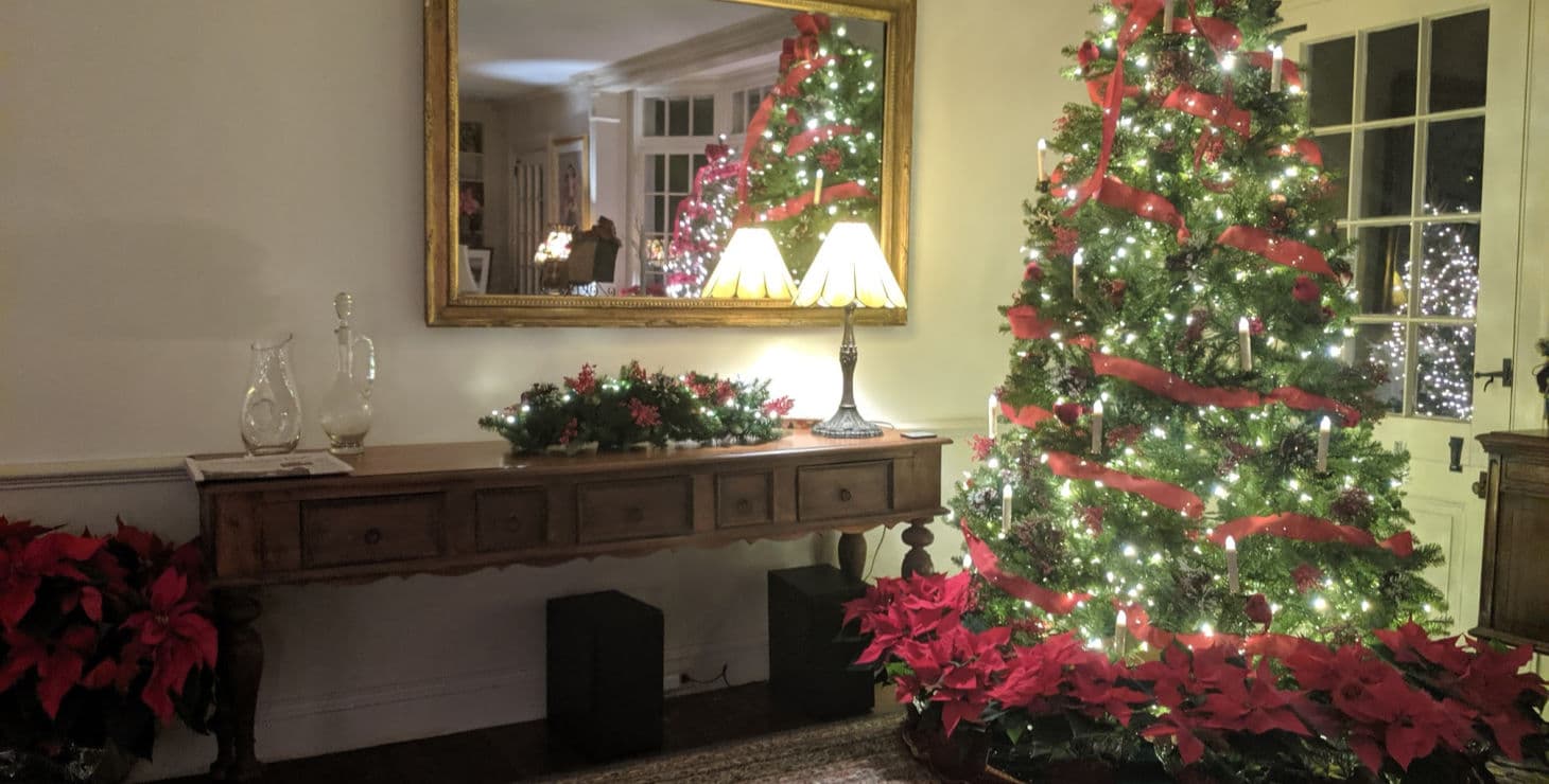 Christmas tree at Devonfield Inn