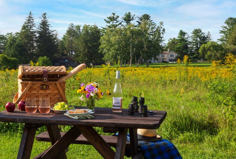 Wooden picnic table with picnic basket, apples, grapes, bottle of wine, vase with flowers, binoculars, and the property far in the background