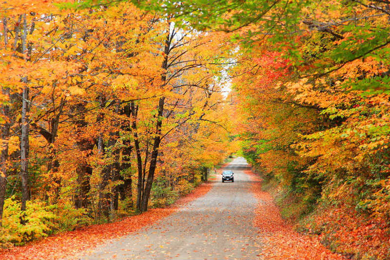 Car on a scenic drive through fall foliage