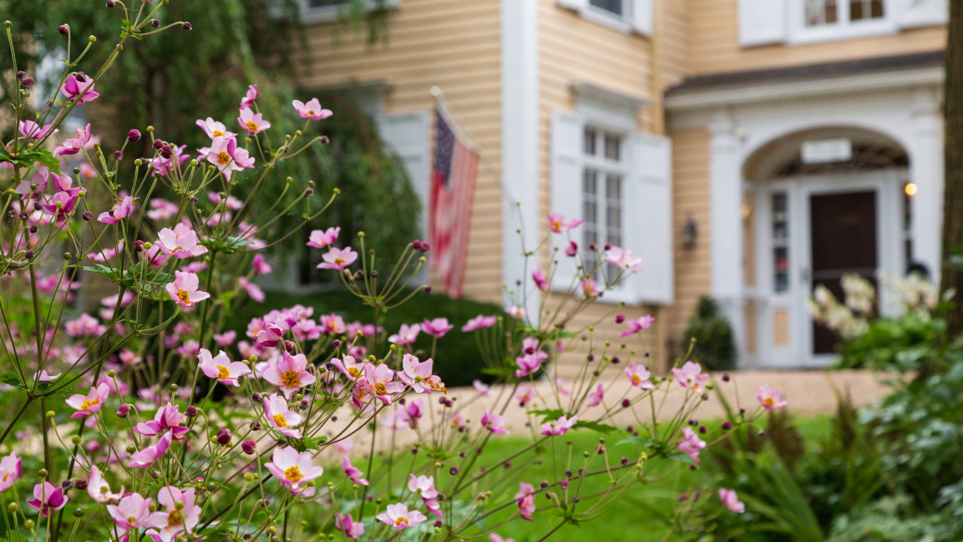 Close up view of light pink flowers with green grass, green trees, and the property in the background