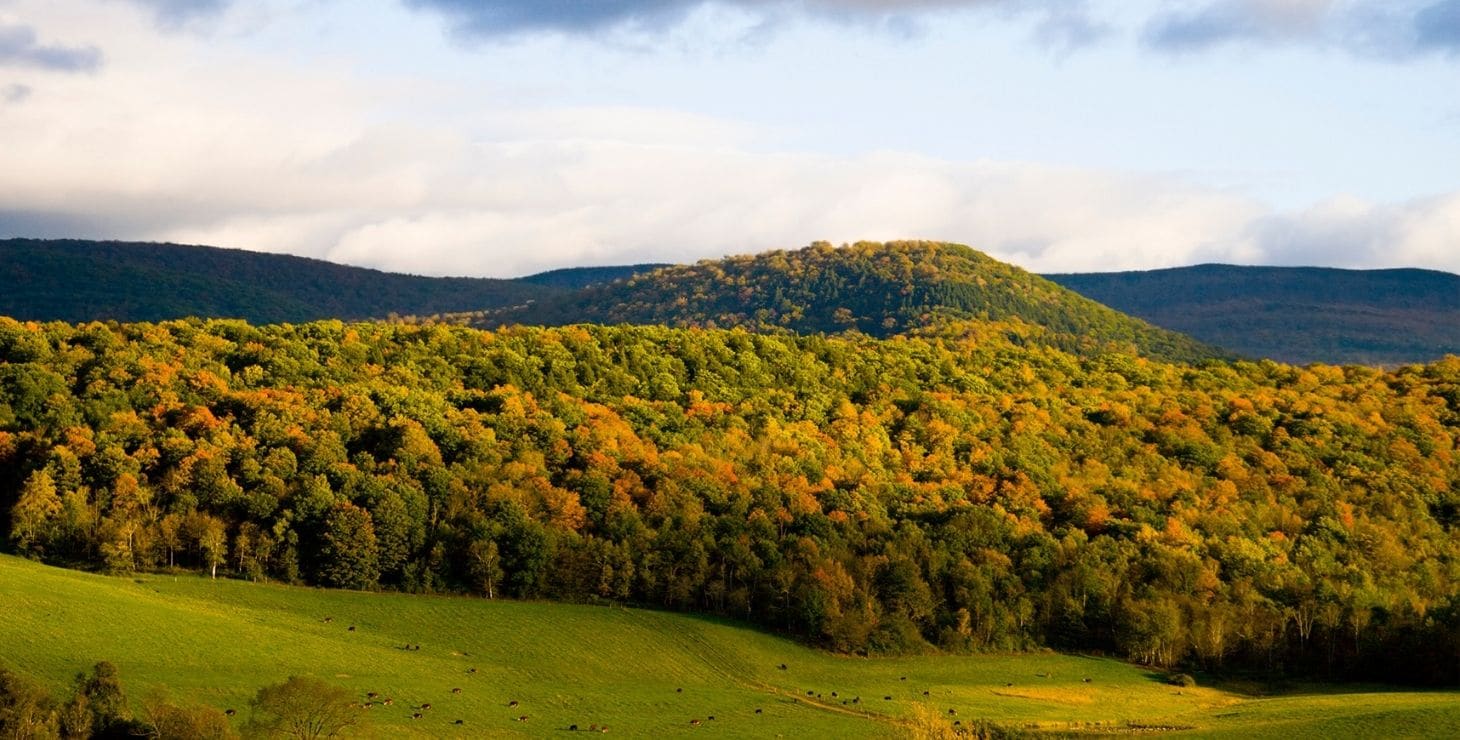 Aerial view of the Berkshires hills in beautiful shades of green, gold, orange and red during the fall.