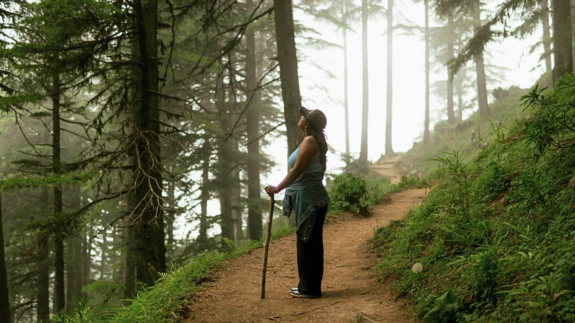 A woman hiking along a misty forest trail with tall trees and greenery, holding a walking stick and looking upward.