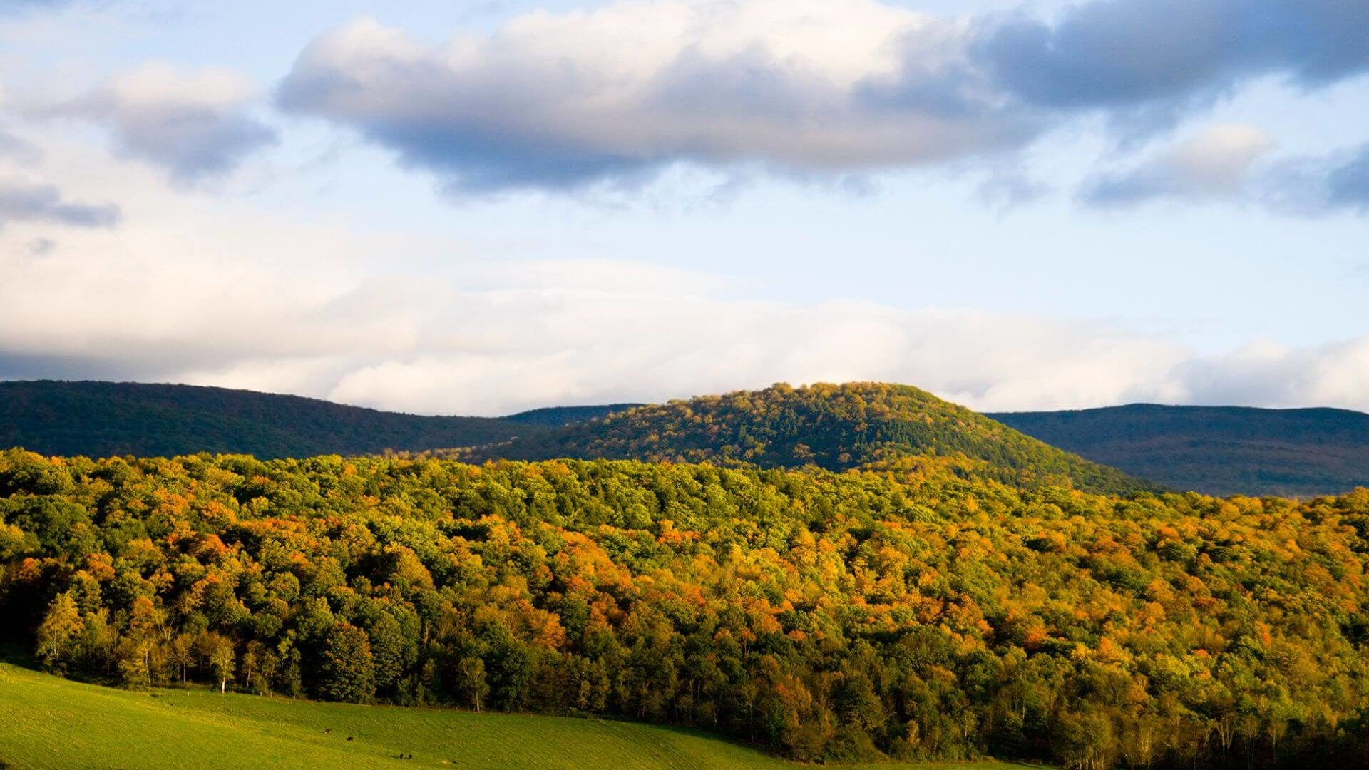 Rolling hills with trees containing fall color