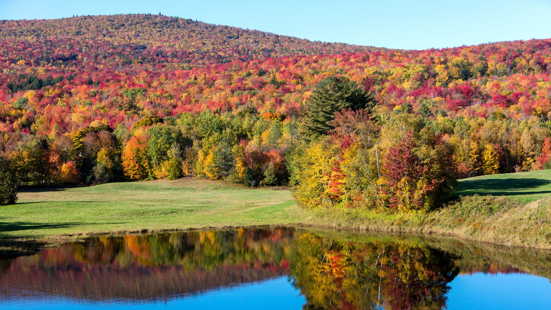 Stunning red and green foliage covers a hill with a pond in the foreground