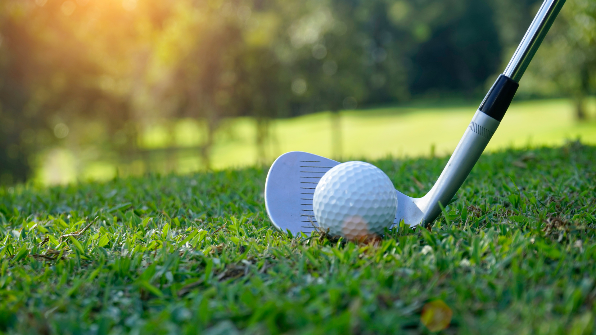  closeup of a golf club positioned behind a golf ball on a grassy course 