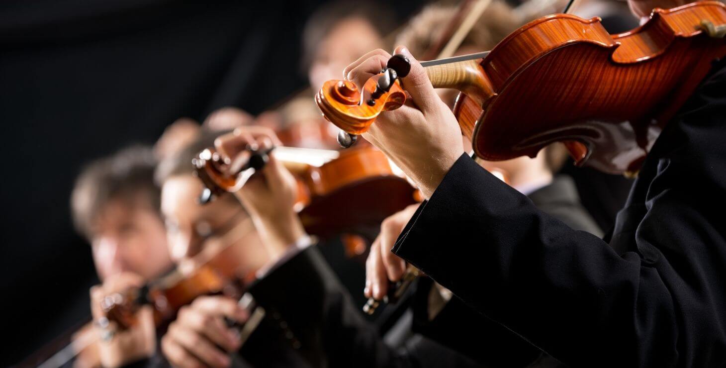 Row of musicians playing stringed instruments