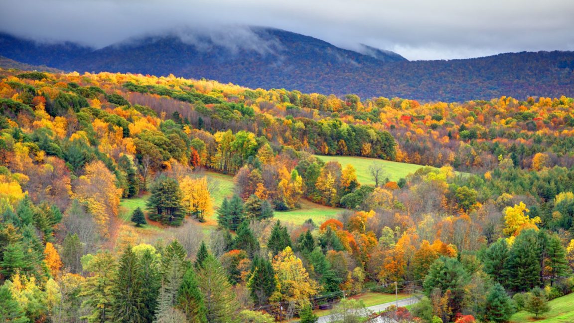 The rolling hills of the Berkshires with fall color
