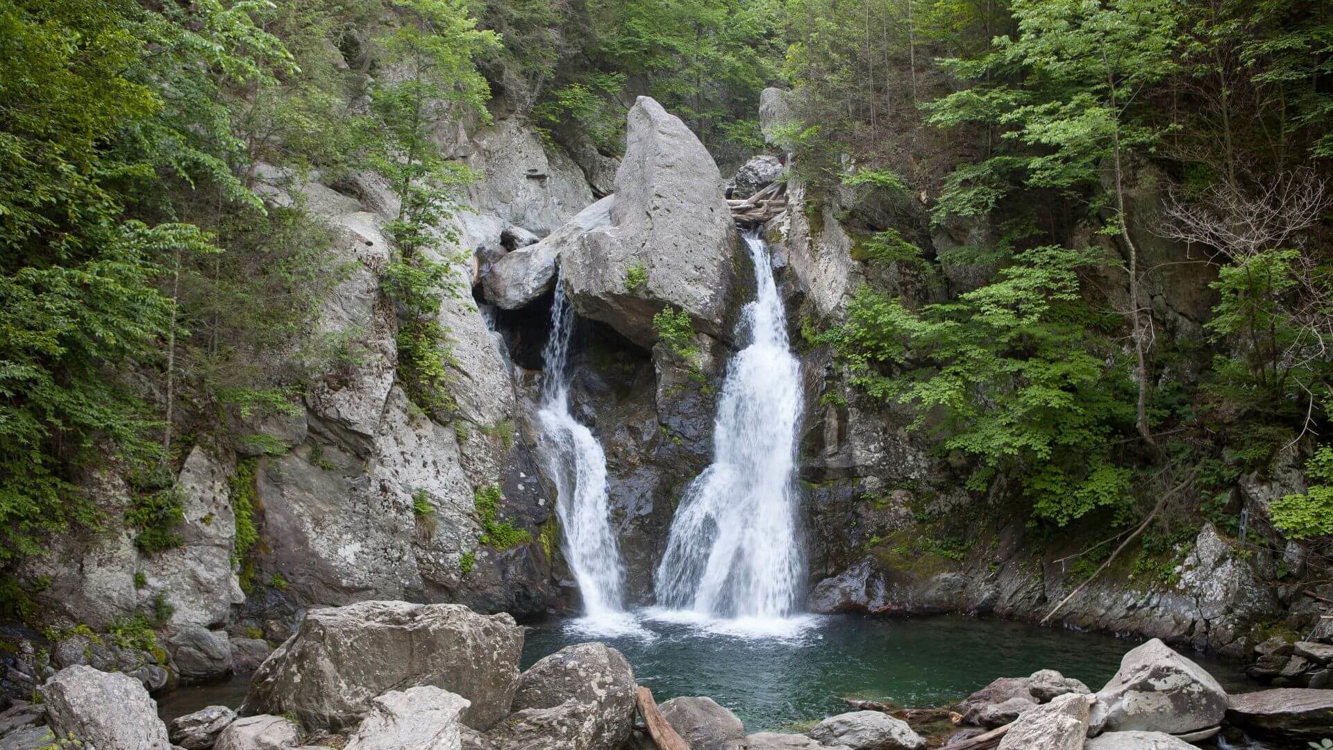 Waterfalls surrounded by rock sculptures and tree flowing into pool