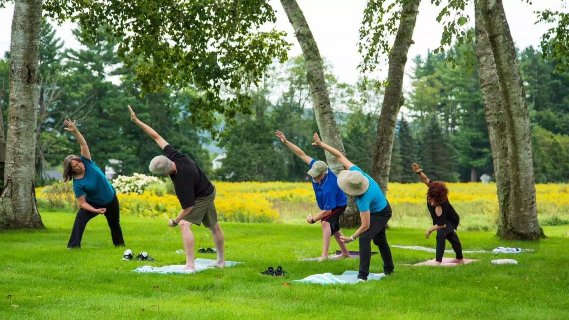A group of people doing yoga on the lawn at Devonfield Inn