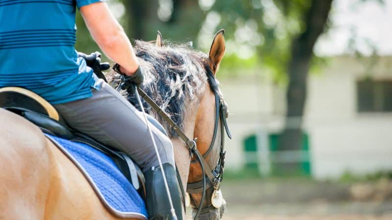 A closeup on the side of a person riding horseback