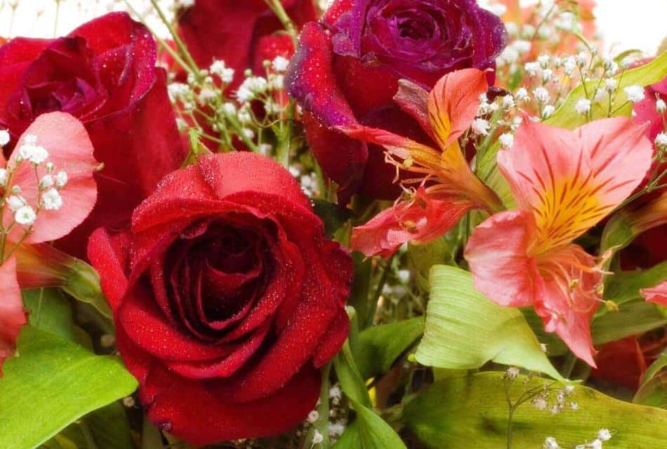 Close up view of flower bouquet with red and pink flowers