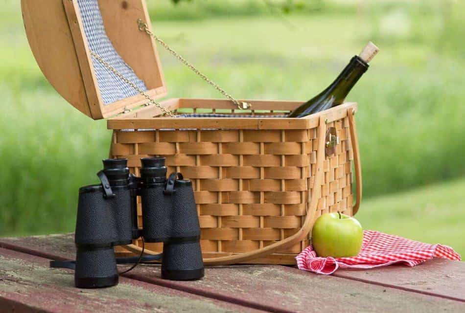 Wooden picnic table with picnic basket, apple, and binoculars with green grass in the background