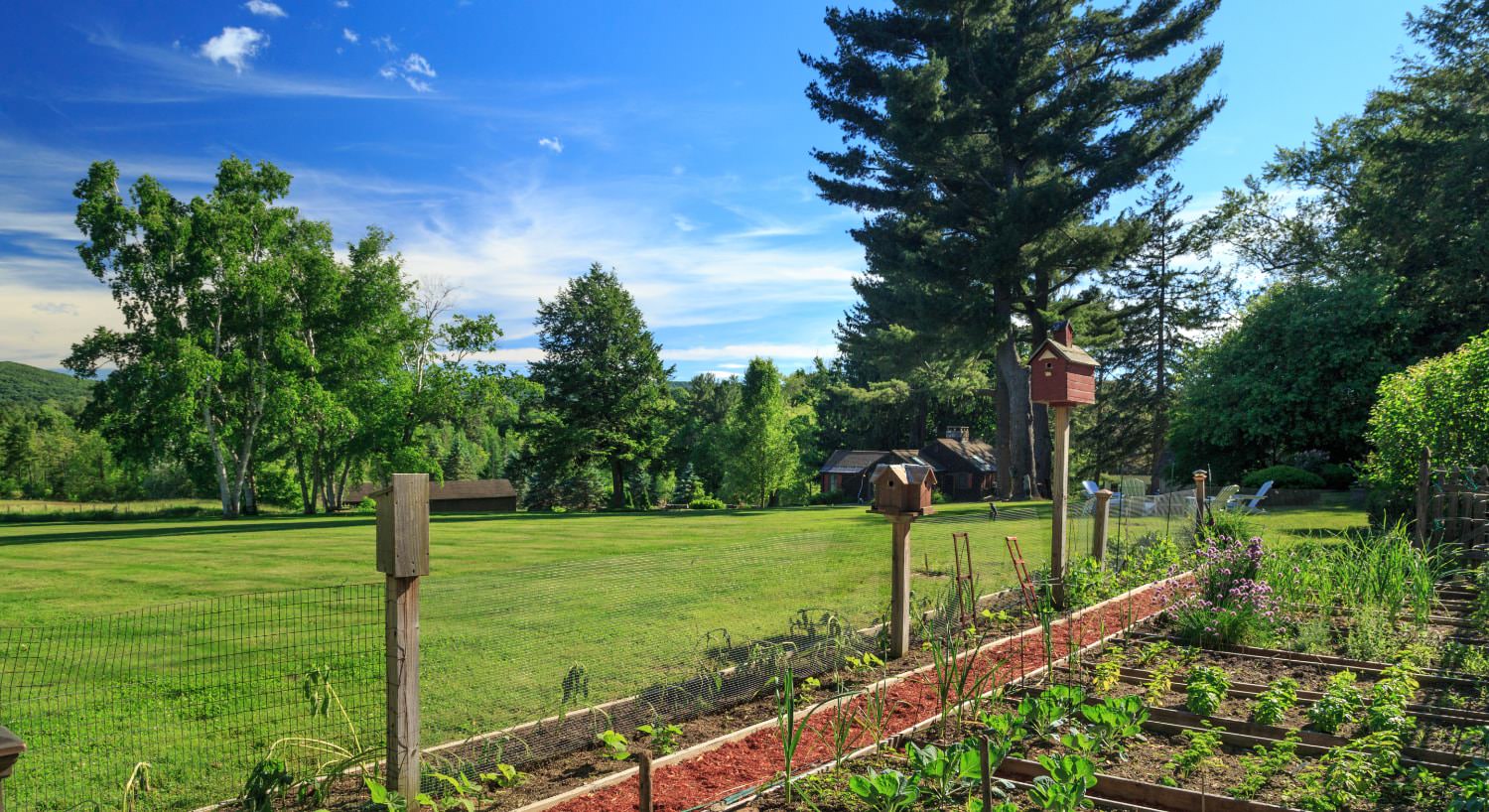 View of fenced in garden surrounded by green grass and trees and the background