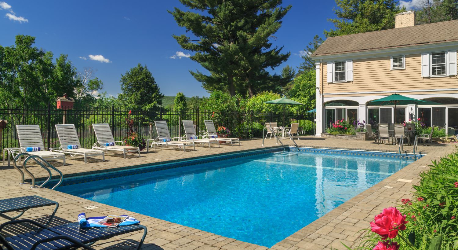 Pool area surrounded by brick patio with patio table and chairs, green umbrellas, black wrought-iron fencing, large treen trees, and a lot of bushes and shrubs