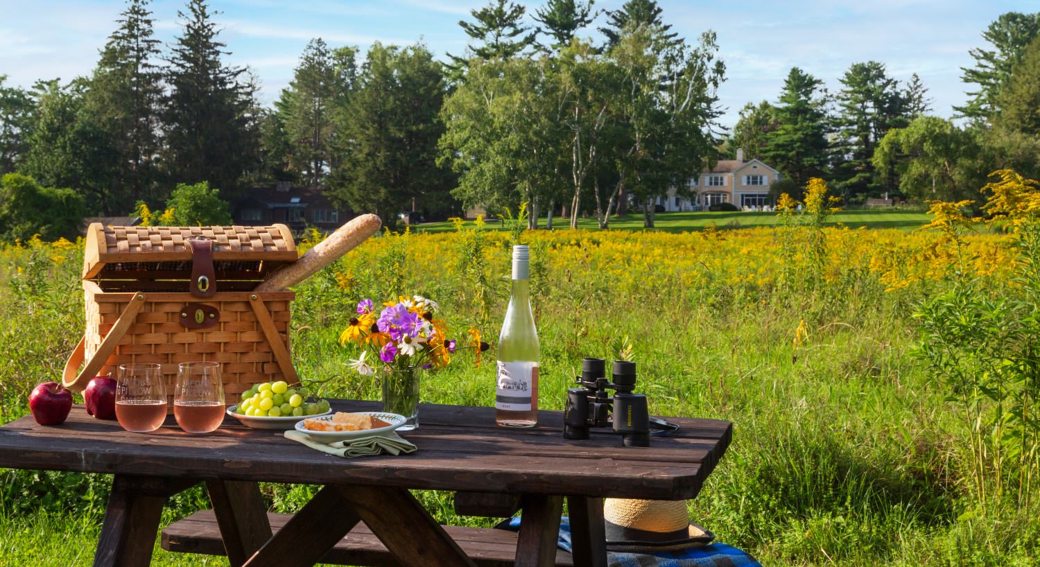 Wooden picnic table with picnic basket, apples, grapes, bottle of wine, vase with flowers, binoculars, and the property far in the background