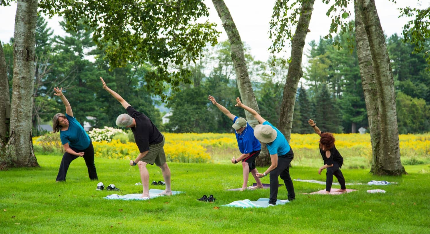 People doing yoga on green grass with trees in the background
