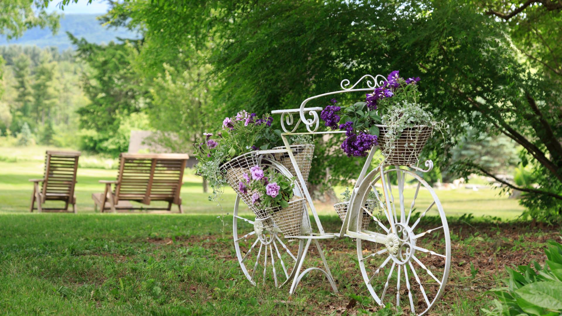 Antique white iron bike with flower baskets holding purple flowers with trees and grass in the background