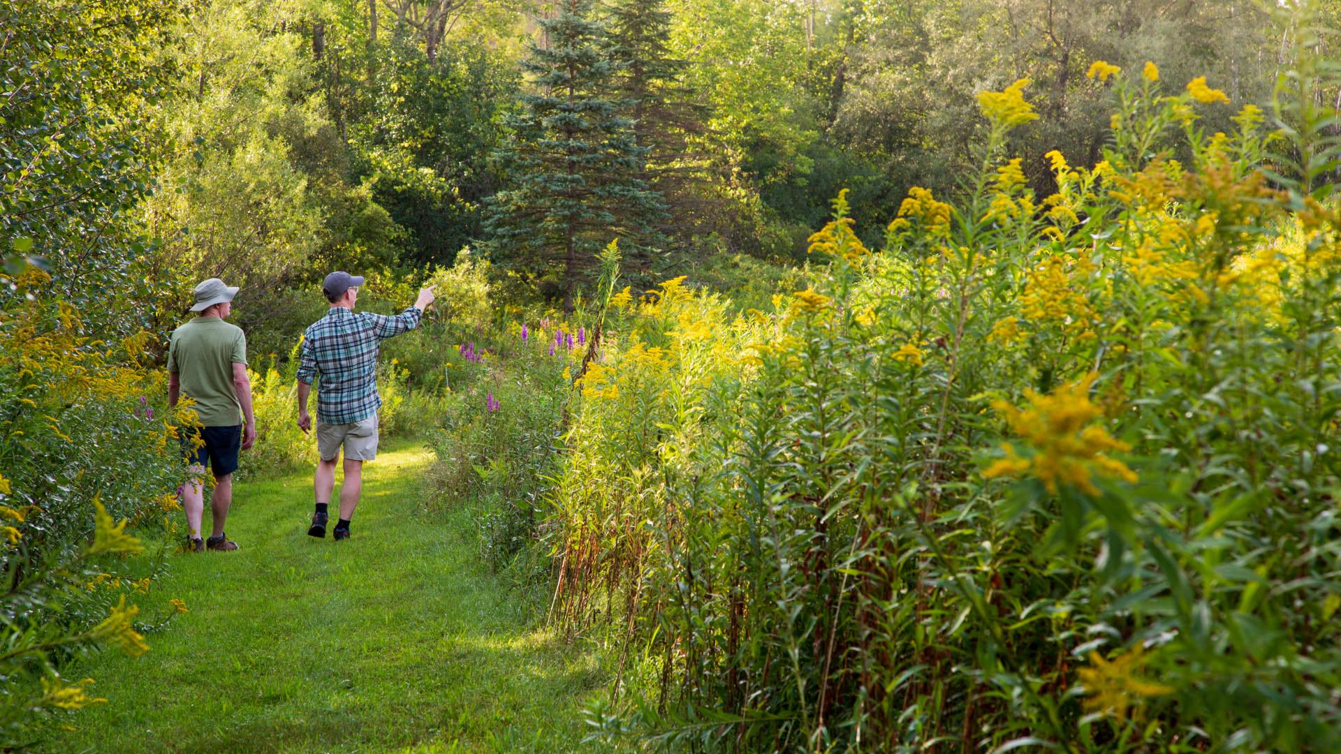 Two men walking on grassy path surrounded by green vegetation and large trees