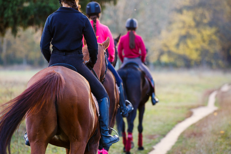 Three girls horseback riding in the fall