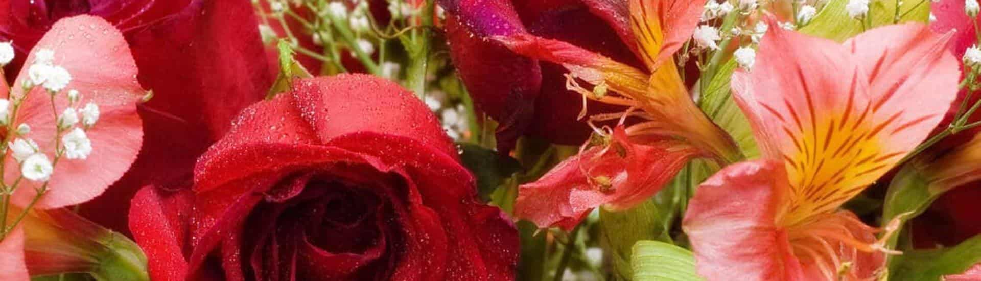 Close up view of flower bouquet with red and pink flowers