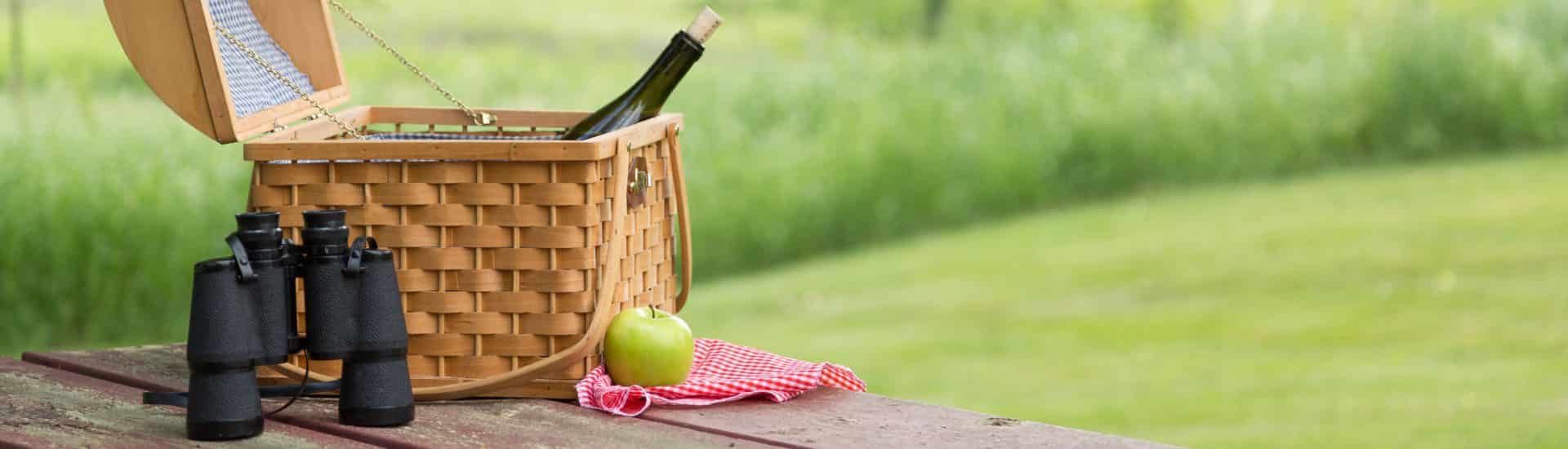 Wooden picnic table with picnic basket, apple, and binoculars with green grass in the background