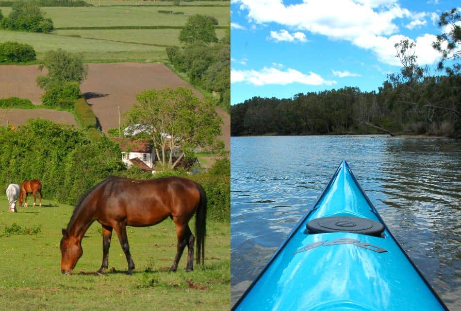 Grazing horses on left side; front of blue kayak on water on the right side