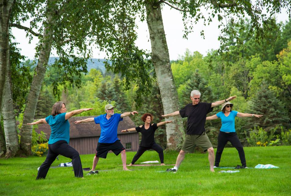 People on green grass doing yoga while surrounded by large trees and greenery