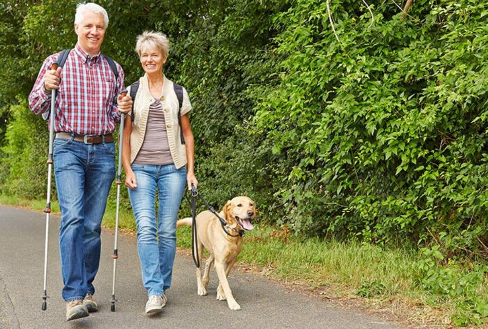 Man and woman walking on a path with a yellow dog near green vegetation