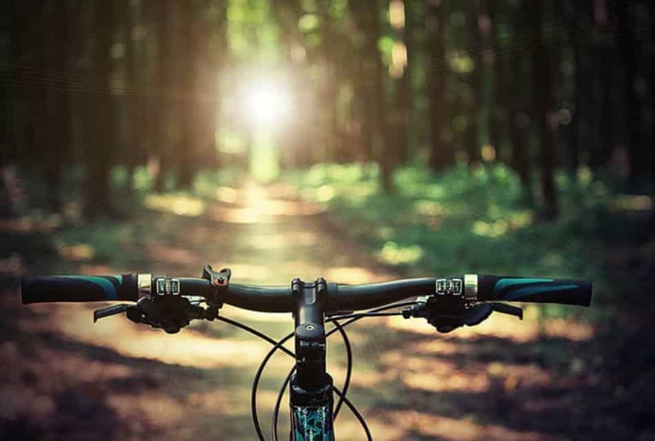 Close up view of bike handle bars with a bike path through trees in the background