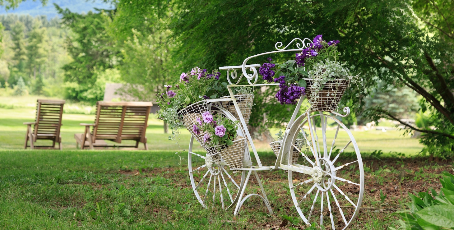 Flower Bike in the Springtime